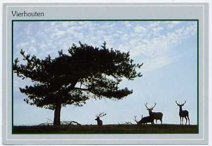 Oude foto's Vierhouten kleur 1